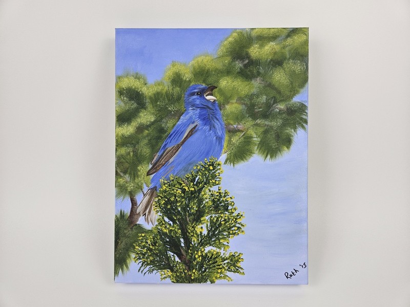 «Indigo Bunting» Bird Original Oil Or Acrylic On Canvas Signed Dated Painting