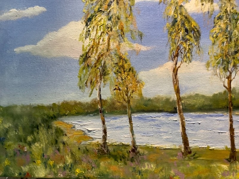 Birch Trees Landscape Original painting in Oil on canvas 20x16" Artwork eBay gallery