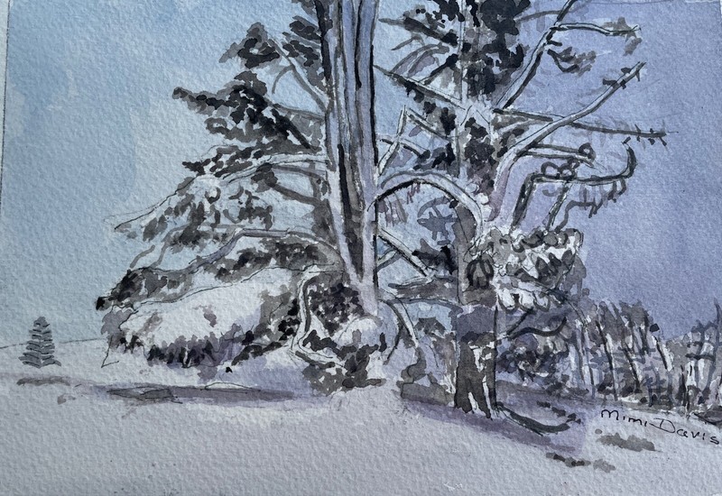 New Zealand, Mackenzie Country Winter/ orig. W/C / 9" x 12"/ Mimi Davis, Artist gallery