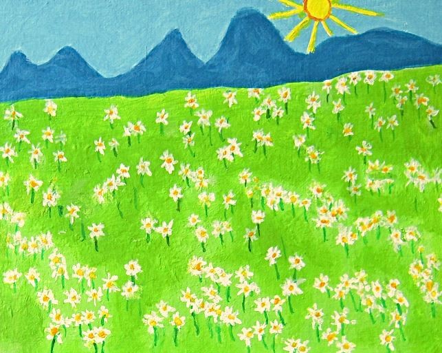 A FIELD OF DAISIES
