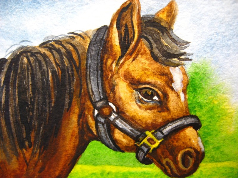 Watercolor Painting Brown Horse Farm Animals Green Grass Nature ACEO Art Card