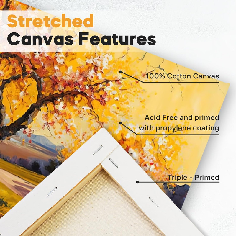 Large Canvas for Painting 36X48 Inch 2-Pack, Big Stretched Canvas 100% Cotton, P gallery
