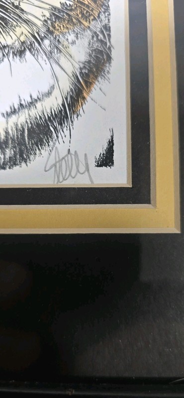 Framed Matted Watercolor Tiger Painting Signed by John Stoeckley gallery