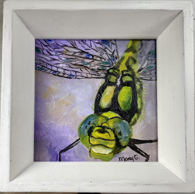 Dragonfly Close Up Original Oil Painting On Gessoed Panelboard 3×3, Frame 5×5
