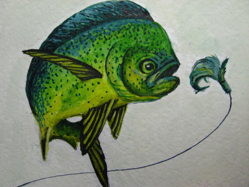 Painting Ocean Dolphin Fish Fishing Bait Tropical Sea Nature ACEO Art
