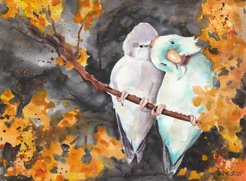 Original Watercolour, Lovebirds, Birds Small Parrots, Animal Pictures, Art