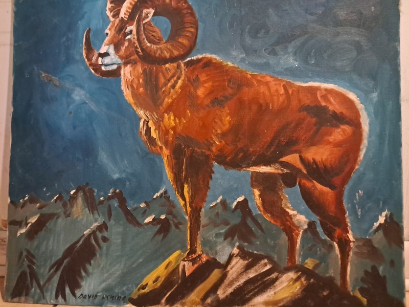 Ram On The Mountains