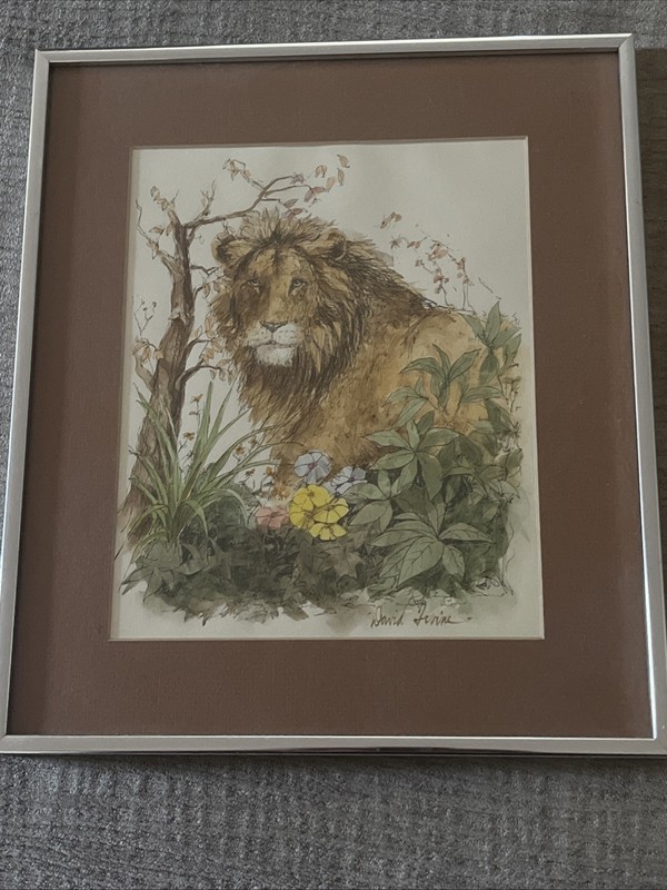 David Irvine Original wildlife Ink & Watercolor illustration Lion Signed