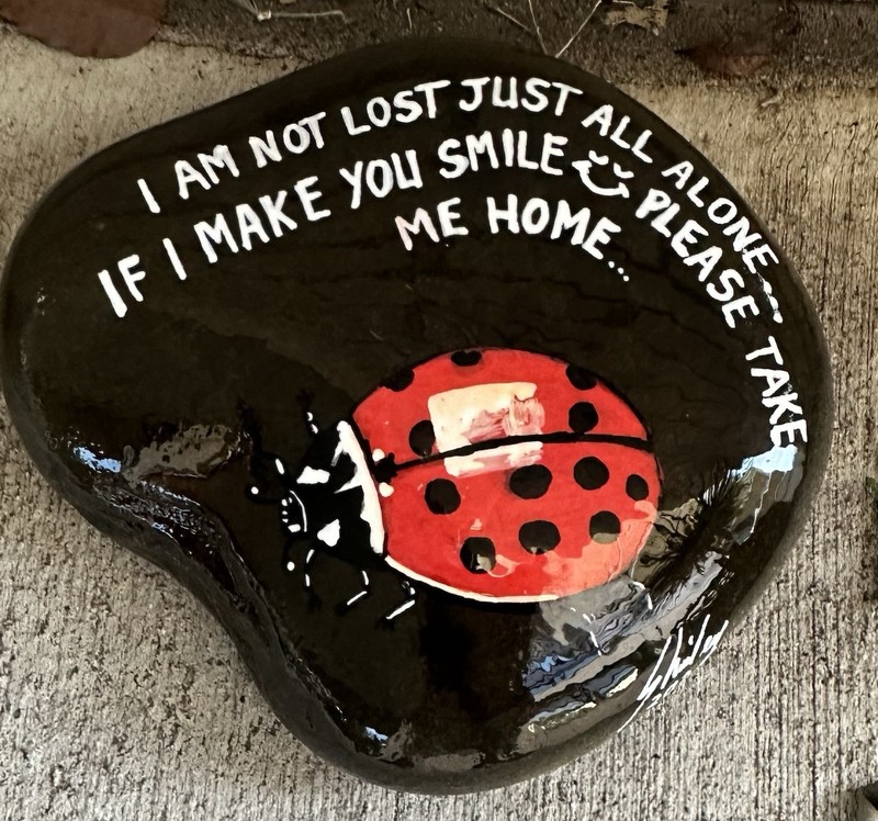 Love Lady Bug Hand Painted on a Rock! Approx 6x5x1