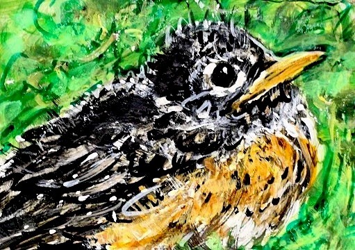 ORIGINAL ACEO American ROBIN Baby BIRD Nest Painting Spring CHICK Nature ATC ART