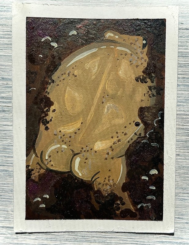 ACEO Original Rain Frog Butt Leaf Stylized Watercolor Art Cards 2.5 X 3.5 Nova