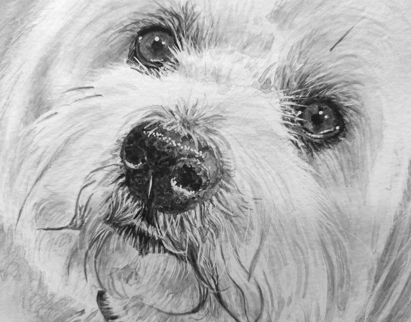 CUSTOM DOG PORTRAITS Cat Pet Animals Original Painting from Photo Loss of Pet A4