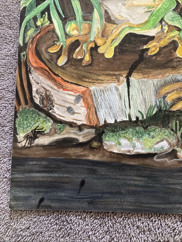 Frog In The Forest Handmade Original Multiple Mediums gallery