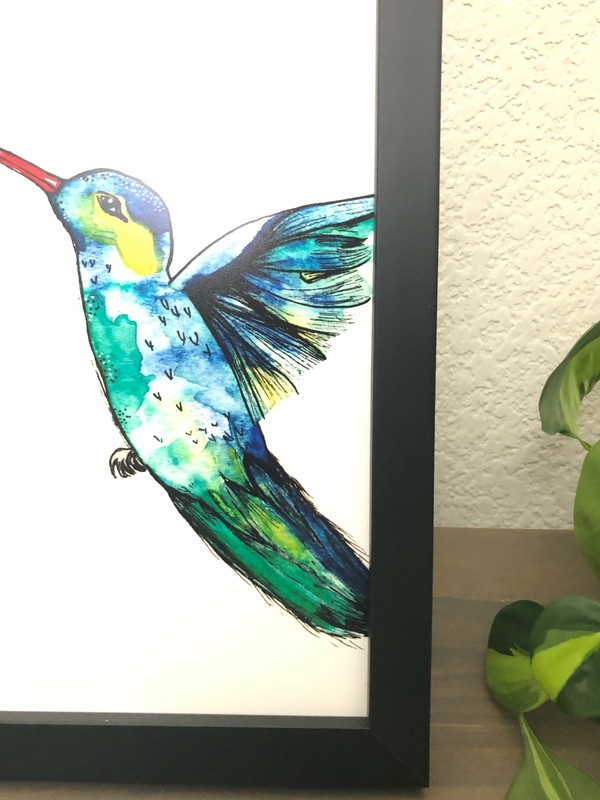 Hummingbird gallery