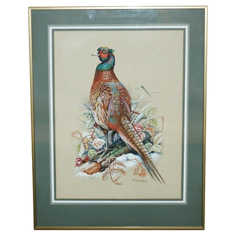VINTAGE M SHERMORNE SIGNED ORNITHOLOGY WATERCOLOUR PAINTING OF A PHEASANT BIRD