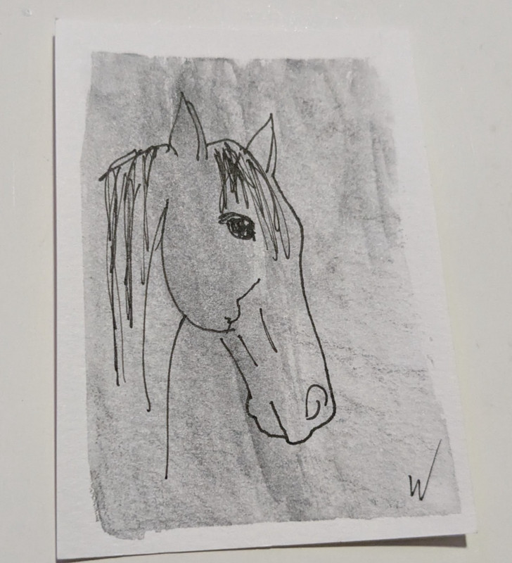 Watercolor Ink Sketch Original Expressive Horse ACEO Art Card Serene WACHTEL
