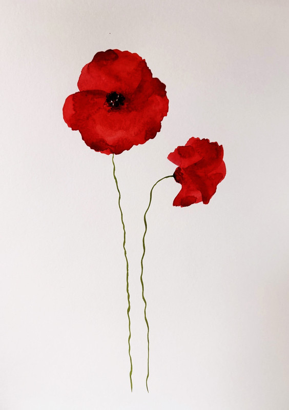 Red Poppy Floral Original Waterolor Painting Nature Art 6