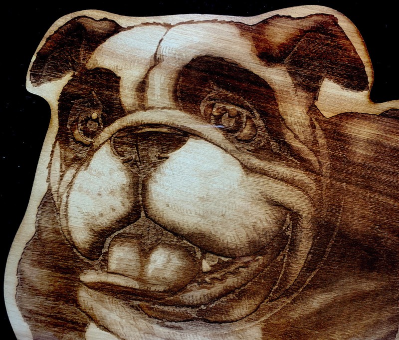 Bulldog and His Rubber Ducky .Burned Wood Art Veneer 13”x13” Wall Frame