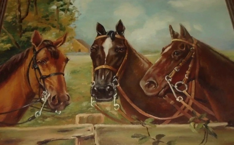 MQ799 Stretched Canvas Frame / Unframed Handmade Animals Horses Oil Painting gallery