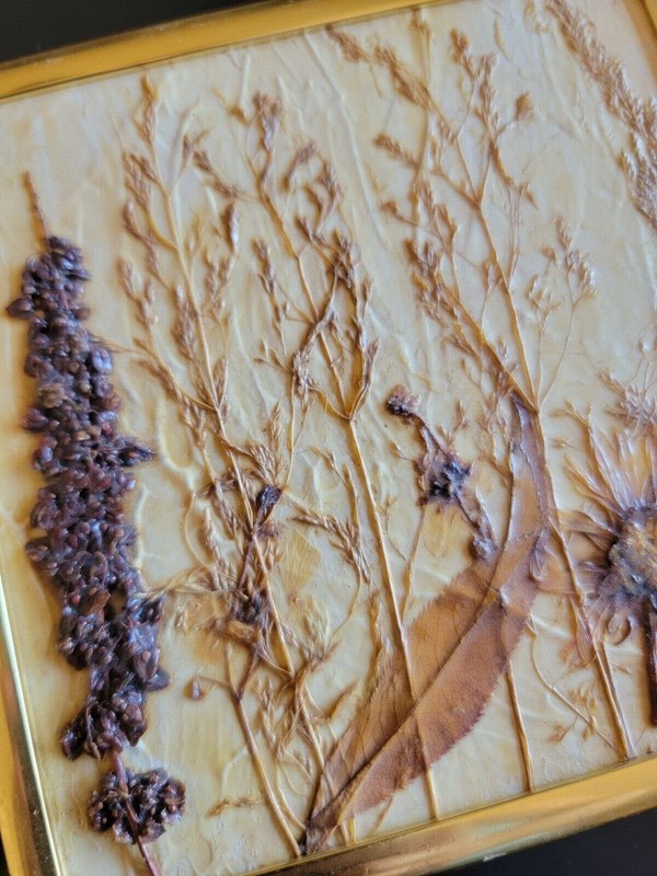 Super Groovy Framed Dry Flowers 2pc Signed Artwork 1970s Home Decor Wheat Gold  gallery