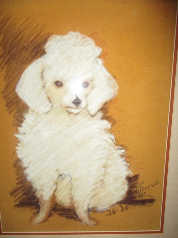 Wonderful Else Nethersol Framed Pastel Painting Poodle Jo-Jo 1985 gallery
