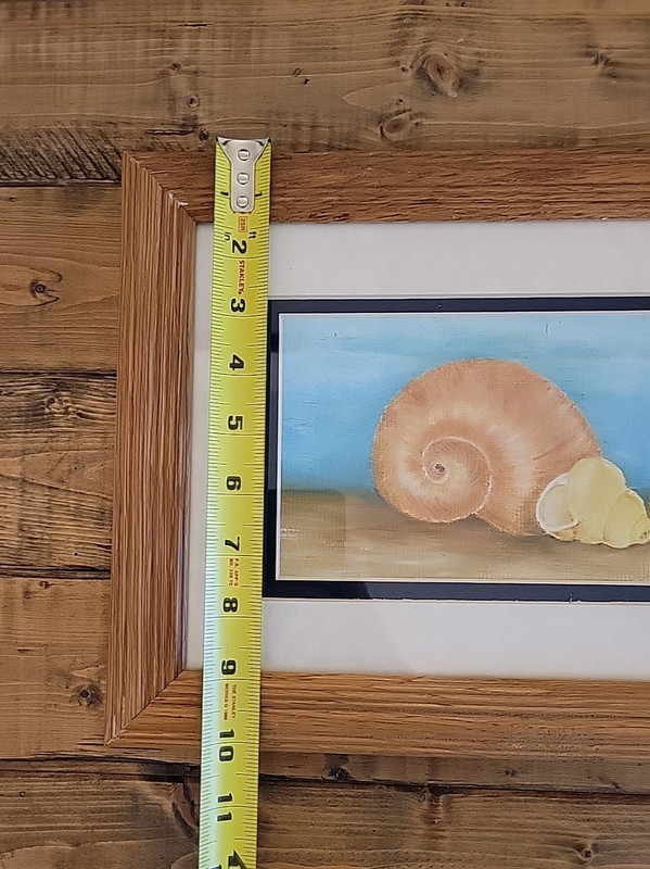 Beautiful Original Watercolor Seashells on Board Framed 10" x 12" gallery