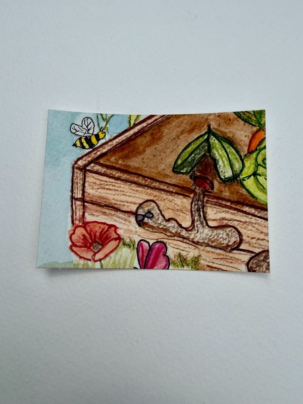 Original ACEO Watercolor Series Vegetable Garden Butterfly PaletteandPage Bugs gallery