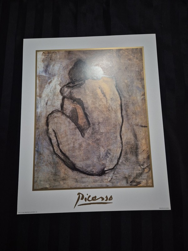 Lot of 100 Pablo Picasso Poster Prints – 16×20 – K&J Graphics – Printed in Korea