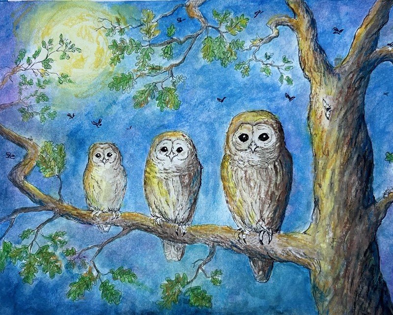 ORIGINAL WATERCOLOR OWLETS OWLS MOONLIGHT PAINTING 9 X 12