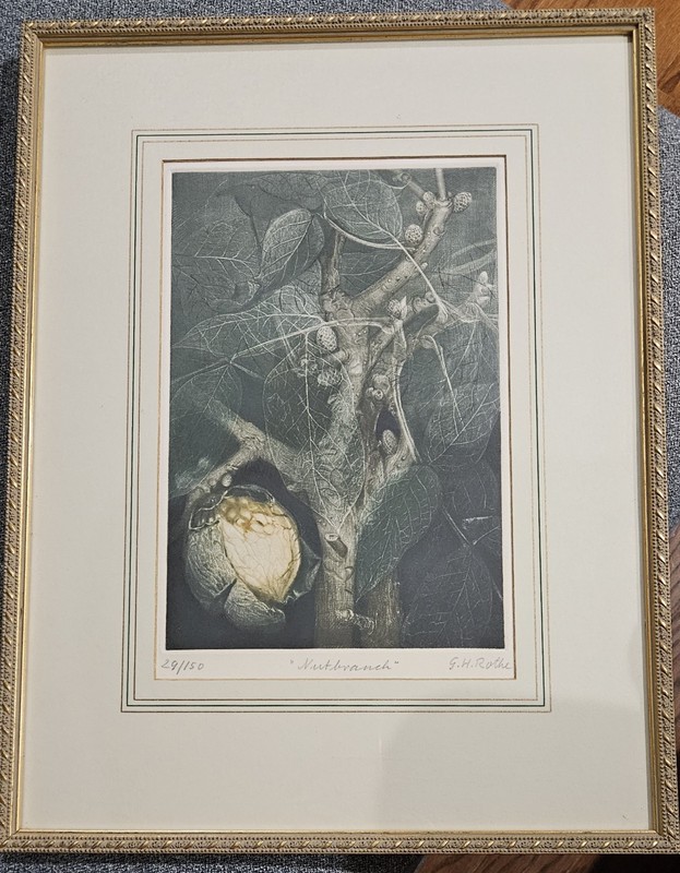 G.H. Rothe hand-signed, titled, numbered 29/150 «Nut Branch» Framed Mezzotints