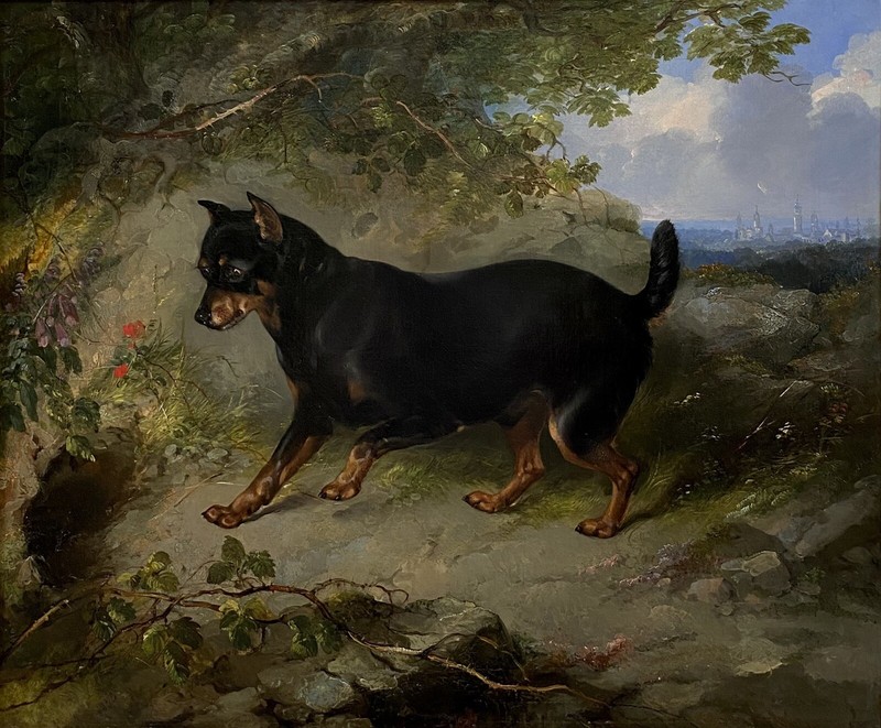 EXCEPTIONAL 1854 George Armfield Portrait of Manchester Terrier in Landscape Oil gallery