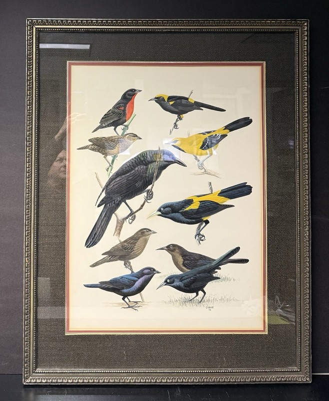 John O’Neill Original Art Bird Paintng – Crows, Signed, Dated 1972, Framed