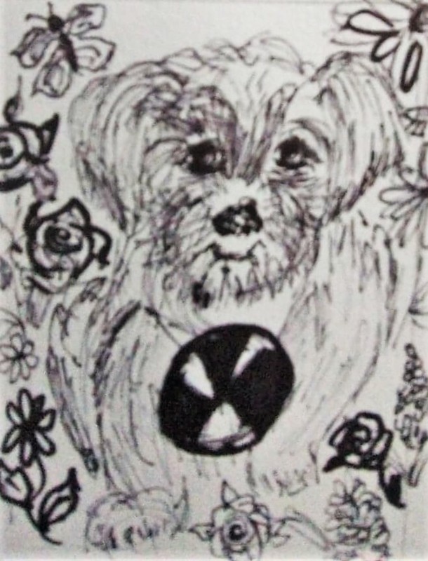 Figurative ACEO pen/ink drawing of a cute Dog at play by Artist Stacey Torres