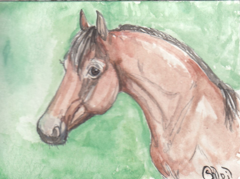 ACEO original Watercolor Art Card HORSE light mealy bay UK elegant show pony