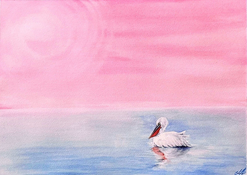 Pelican Abstract Pink Ocean Watercolor Painting Original Artwork