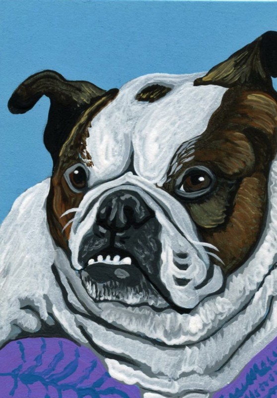 Custom Pet Portrait Your Dog Cat Or Bird ACEO Size-Carla Smale-Bobbysbears