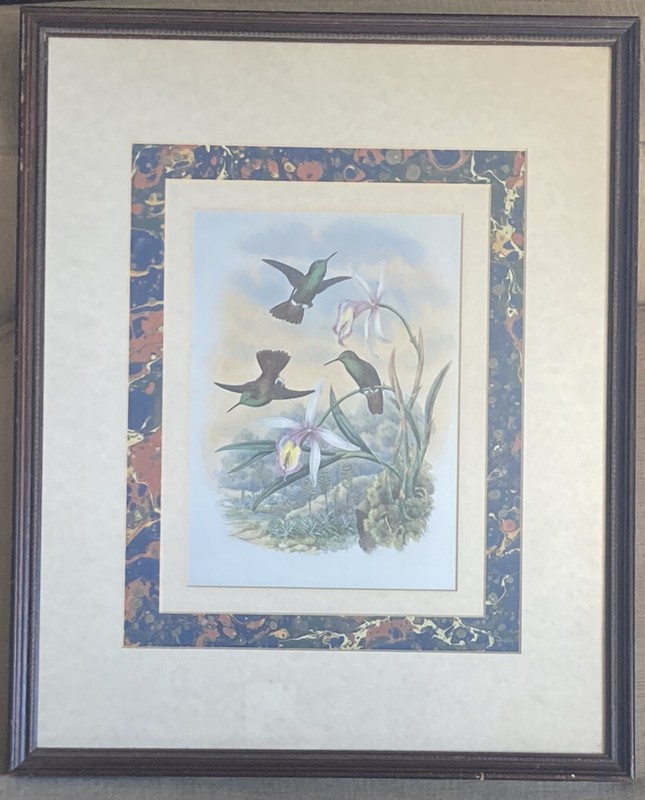 Beautiful Vintage Framed Hummingbirds Lithograph Art Print Hanging Wall Art EUC!