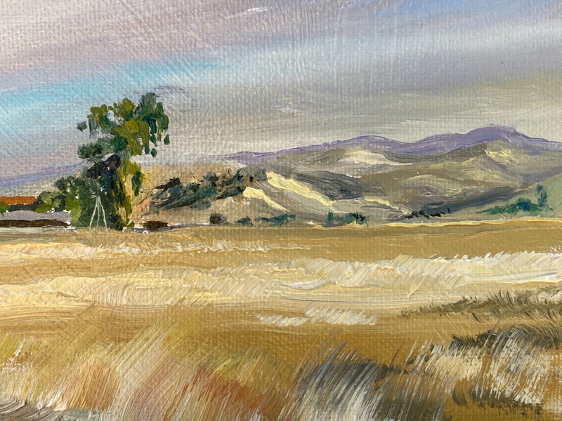 US Dept State Recognized artist: E. Merced foothills out Cunningham Rd gallery