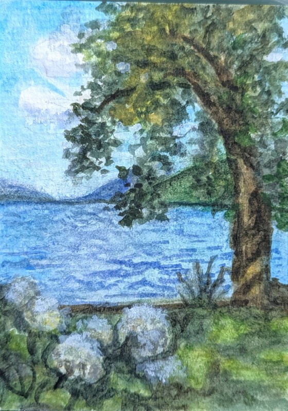 Finger Lakes, Canandaigua Lake Hydrangeas mini watercolor ACEO landscape art
