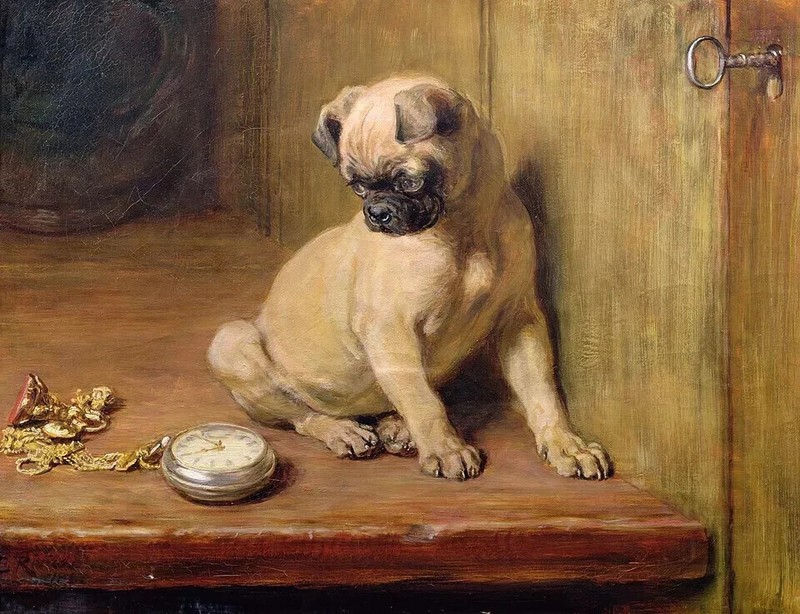 MQ512 Stretched Canvas Frame / Unframed Handmade Little Dog Eatting Oil Painting