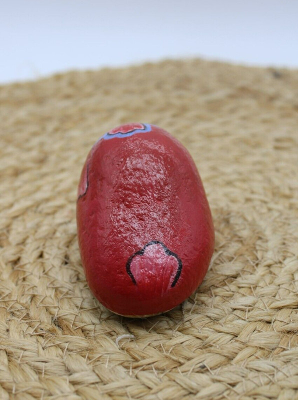 Hand Painted Rock ~ County Red Robin~ Outdoor Art Garden Decor ~By Rockn Palette gallery