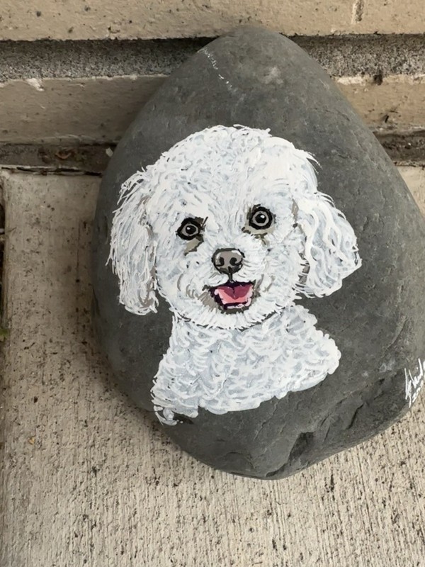 Dog hand Painted “miniature, poodle on a Rock! Can be Personalized 6x5x3 gallery
