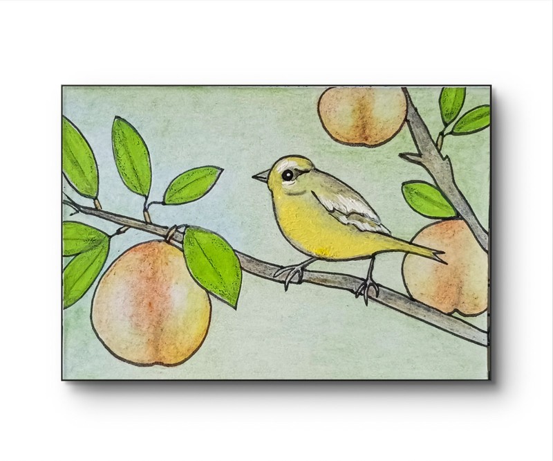 ACEO Original Yellow Bird Perch Peach Tree Acrylic & Pencil by Charlene Slie