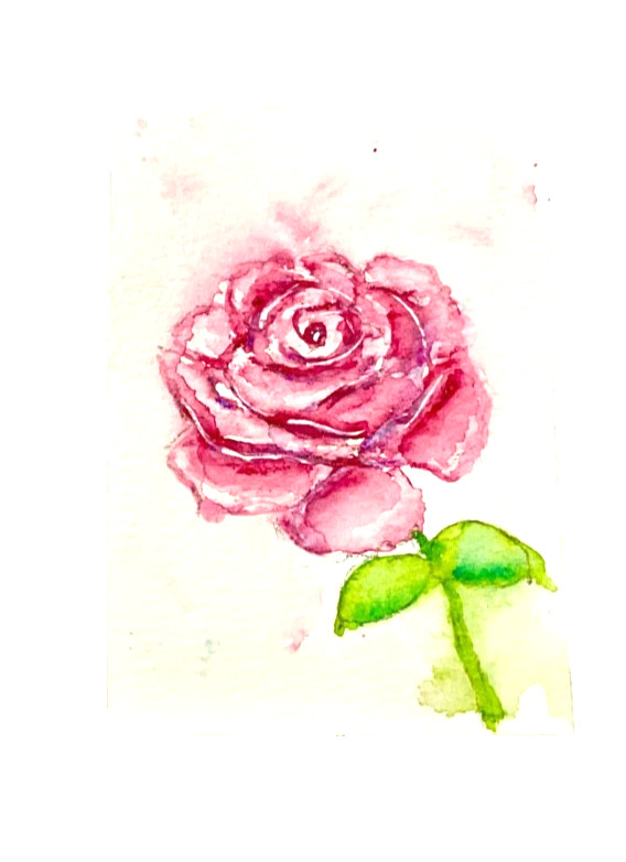 ACEO Original rose pink flower ATC OOAK Cherie Donnell