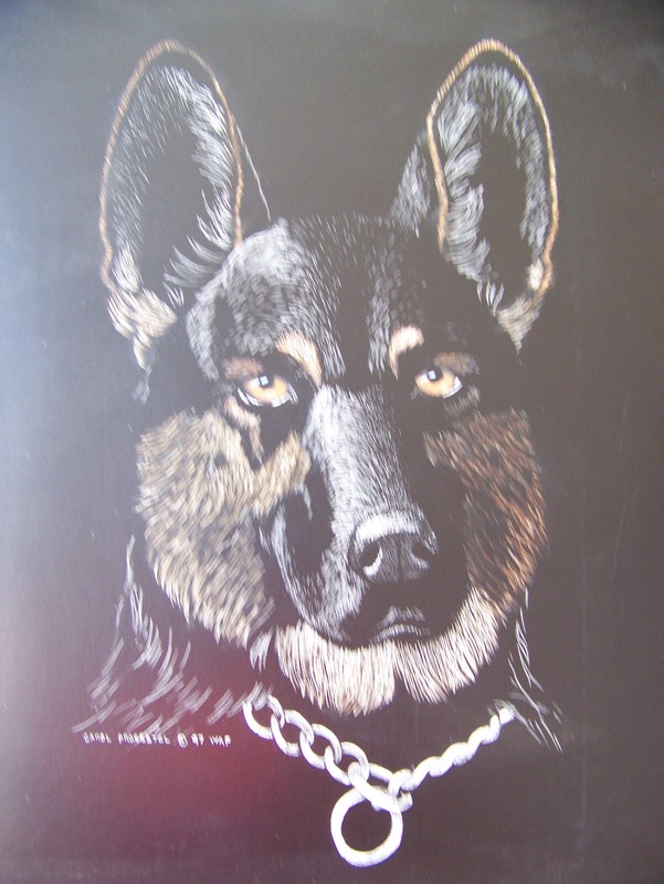 original scratchboard drawing etching dog German shepherd