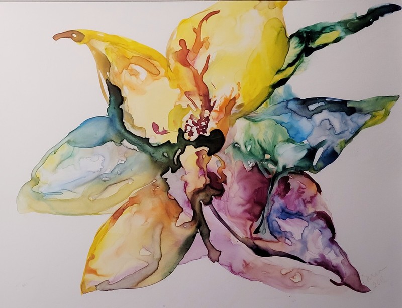 Original Watercolor Painting Abstract Flower Orchid Lilly Signed Framed Art gallery