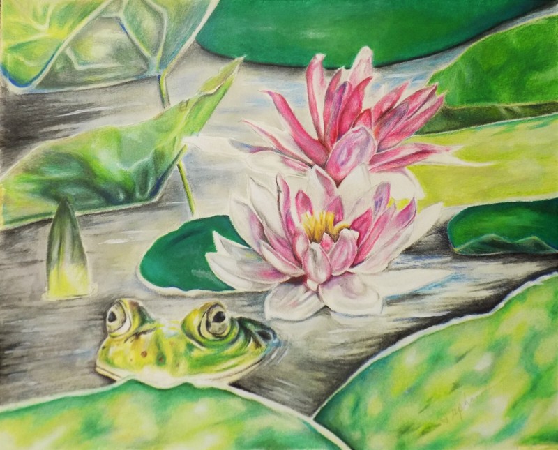 Art original frog at the pond garden park floral mixed media paper