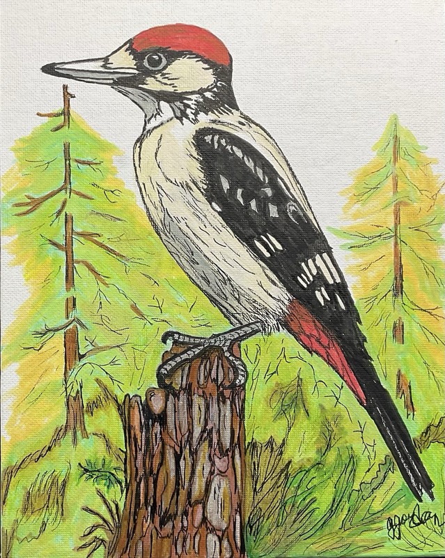 Original Acrylic Painting “Spotted Woodpecker” Bird 8×10, Signed, Not Framed
