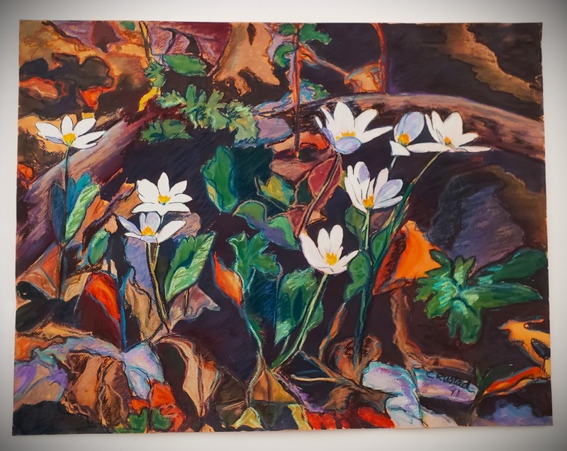 CAROL RUSTAD (1943-2022) Original SIGNED Oil Pastel & Gouache Prairie Flowers gallery