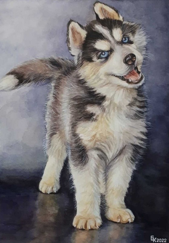 Siberian Husky Dog Cute Puppy animal portrait watercolor painting Nursery A4 Art